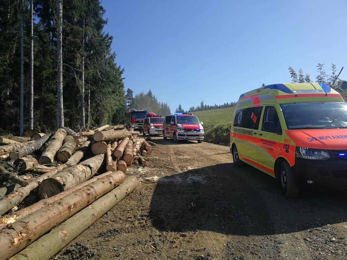 Med podiranjem drevesa umrl 63-letni moški