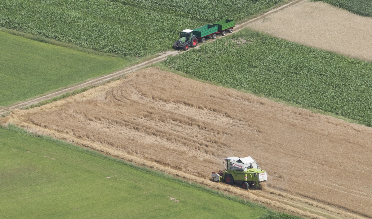 (PREDLOG ZA OMEJITEV ZAKUPA ZEMLJIŠČ) Ravs med kmeti in podjetji