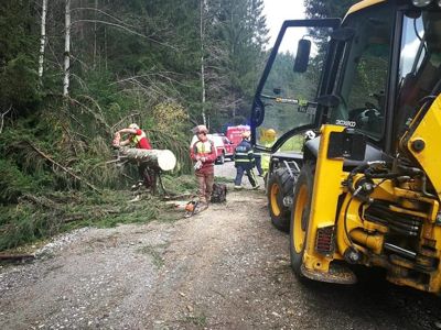 Ob orkanskem vetru v Koprivni mislila, da se ruši gora Olševa