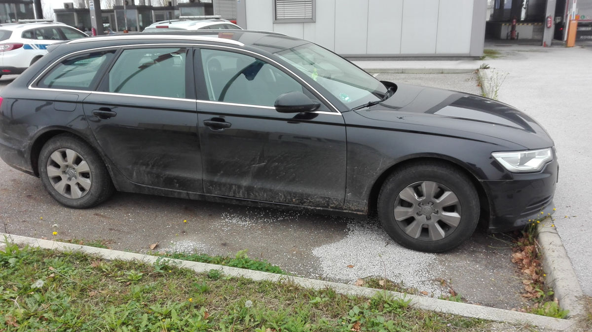 Mladoletnika v ukradenem audiju