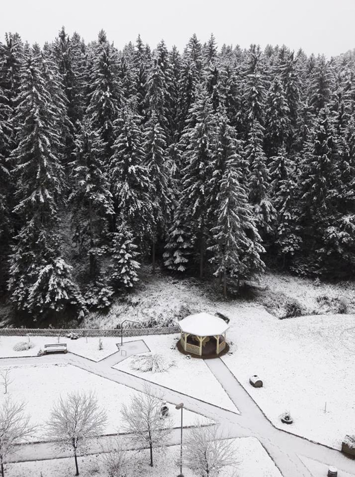 (FOTO) Slovenijo pobelil sneg, zimske službe dobro pripravljene