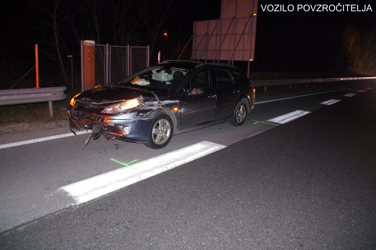 (FOTO) Nesreča vinjenega voznika, policisti opozarjajo: "Oprosti je brez pomena"