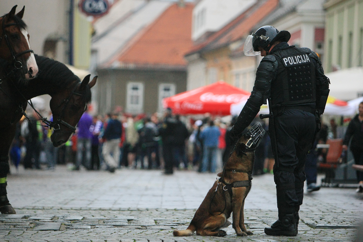 Pok petarde? Pes pobegnil z dvorišča in po trčenju z avtomobilom poginil