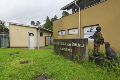 Vroča delovna mesta: Bi bili voznik občinskih funkcionarjev? Vodja zavetišča za živali? Gospodinjec na Pohorju?