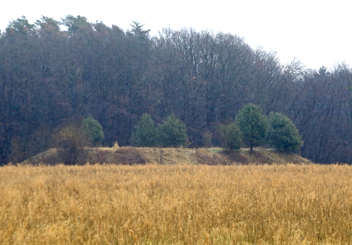 Kam je izginil velik križ