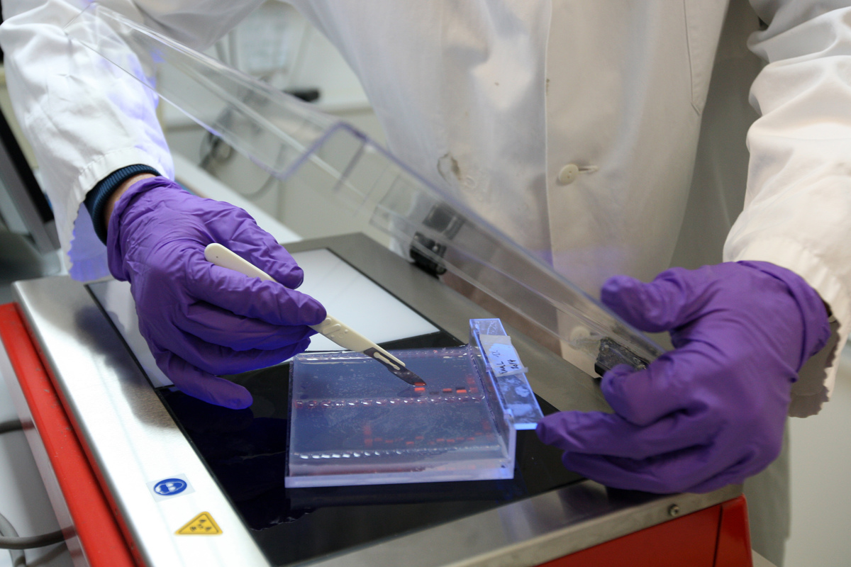 Pol letnika bi po študiju šlo v tujino