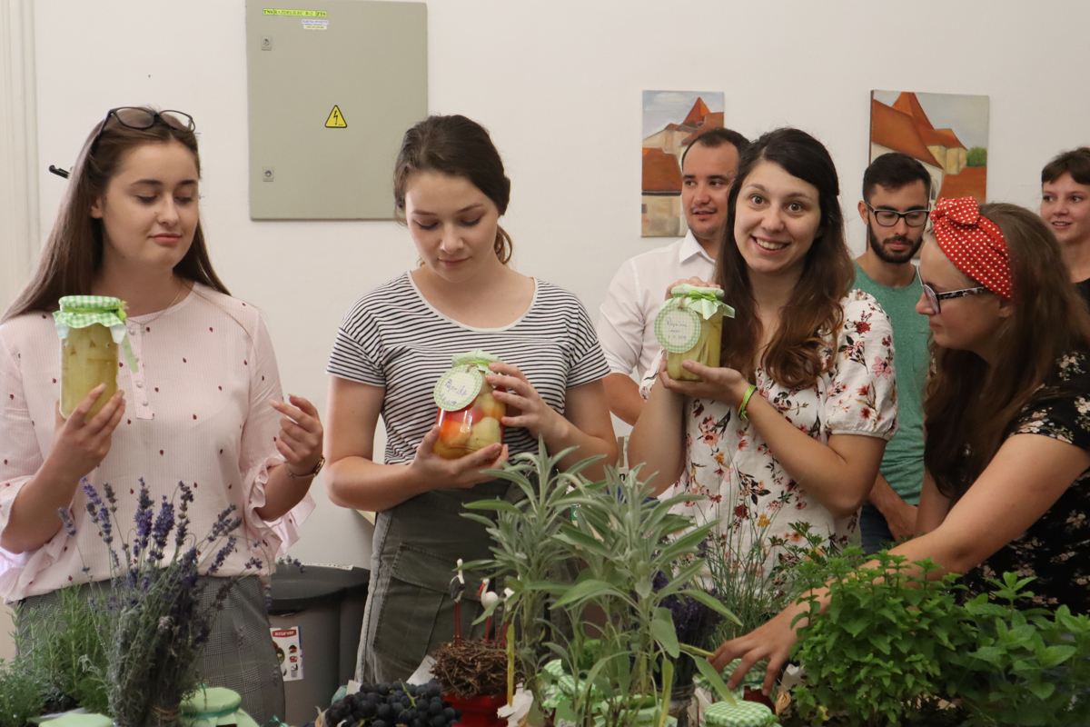 Socialne inovacije: Od šolskih reform do savne in Božička