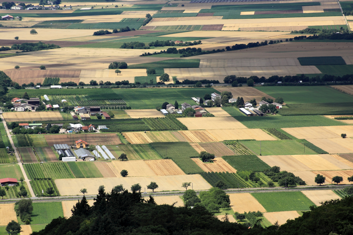 Kakšna bo skupna kmetijska politika EU po letu 2020?
