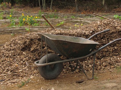 Pomladna obnova okrasnih gredic