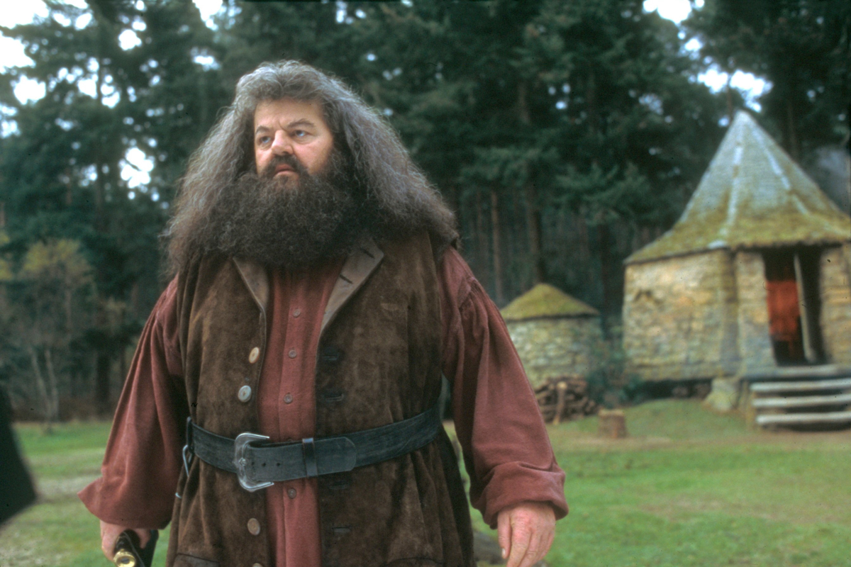 Hagrid iz Harryja Potterja priklenjen na voziček, prvič po 2016 v javnosti