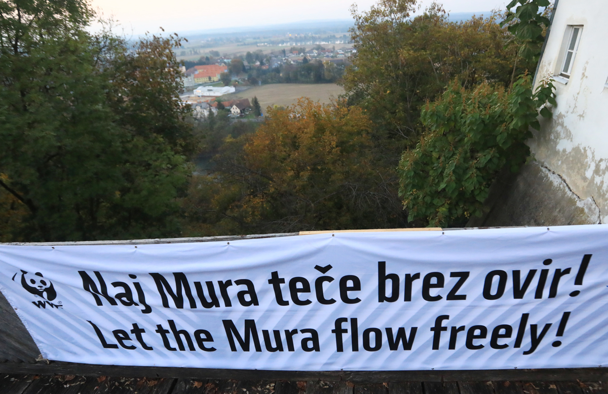 (PROTEST) "Dovolj je zavlačevanja in slepomišenja!"