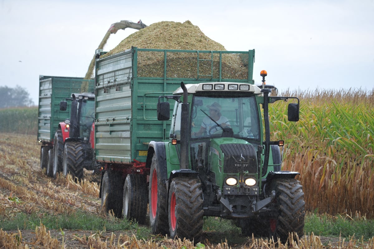 Najbolj ogroženi kmetijstvo, energetika in zdravje