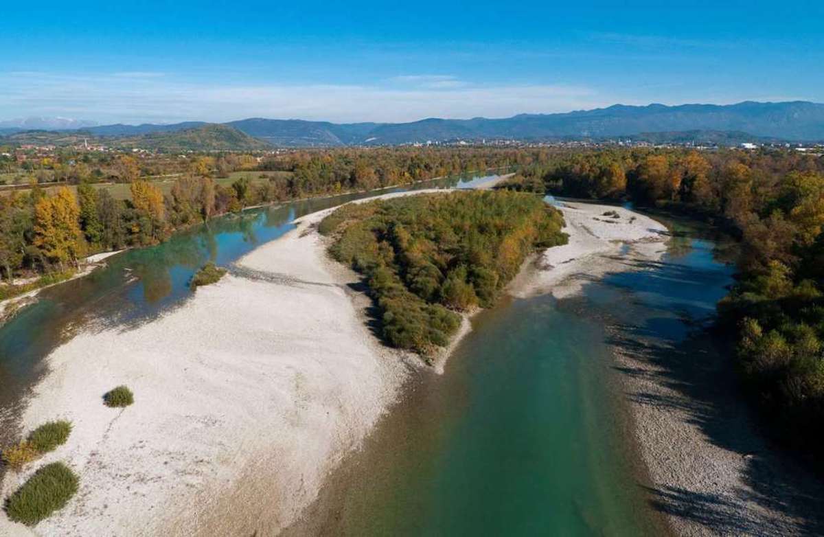 Čigavo je Leonardovo leto 2019?