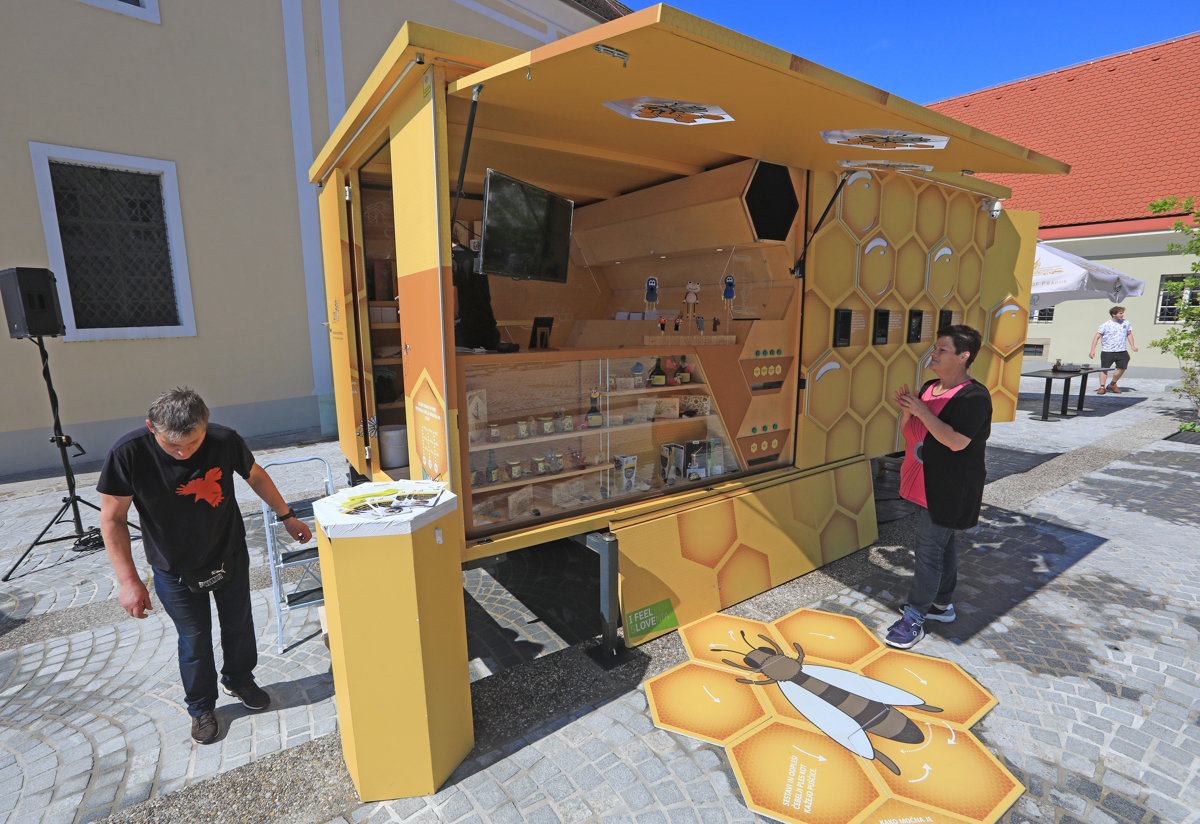 Medeni vikend v Mariboru: Od petka do nedelje o zdravilni moči medu in konoplje. Na ogled čebela velikanka