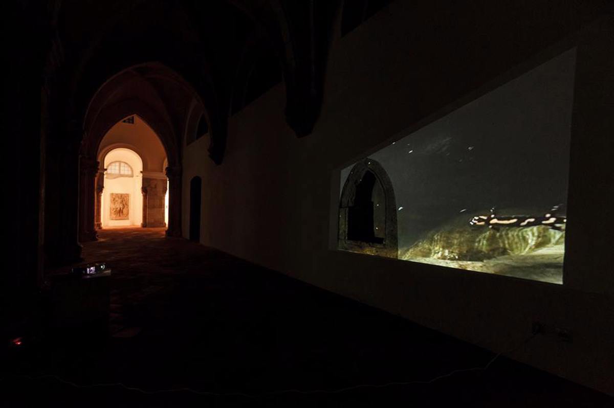 Videoinstalacije Ane Pečar v Novi Gorici