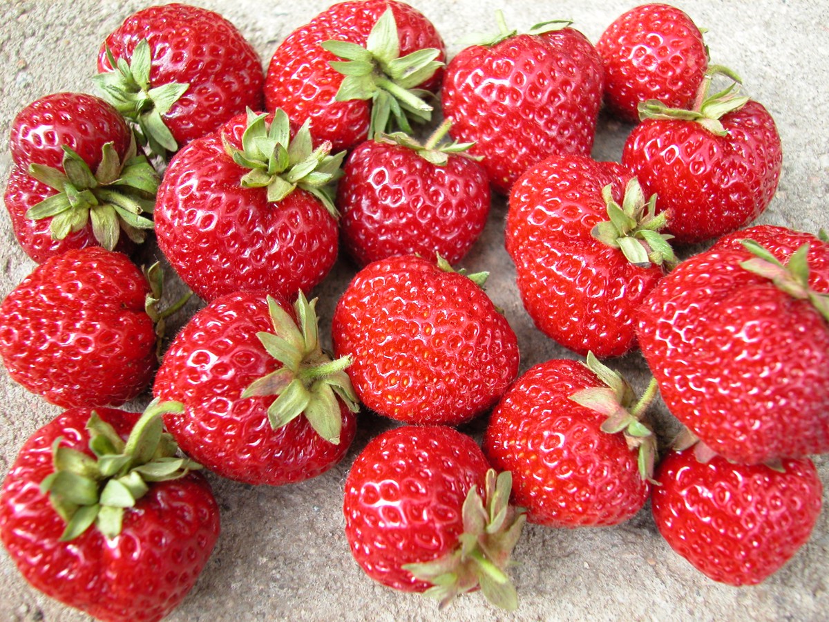 Tožili so nad želodčnimi težavami in imeli visoko vročino, verjetno so se zastrupili z jagodami