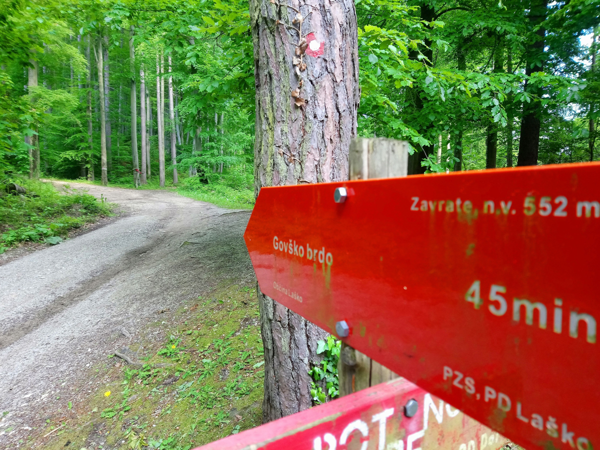 (FOTO) Planinci izglasovali naj planinsko pot: Kraji, ki so zaradi nižje lege včasih po krivem zapostavljeni