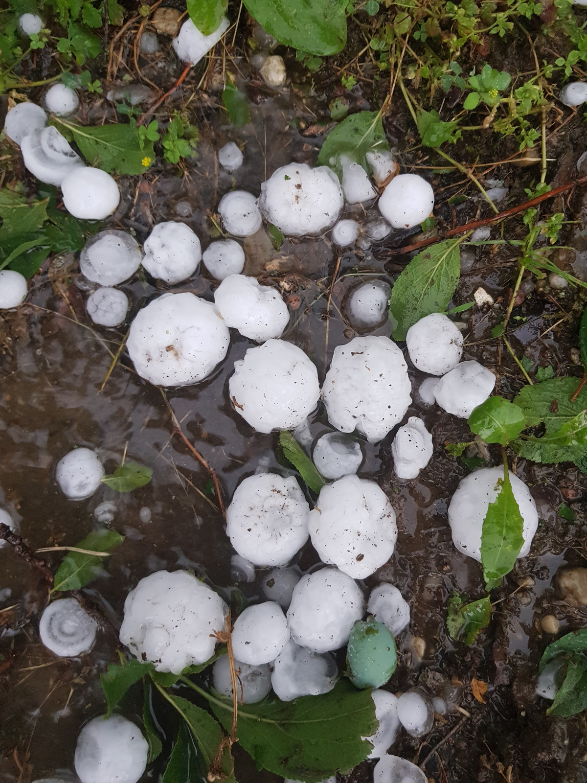 (FOTO) Na Goričkem toča uničevala vse po vrsti. Neurje z veliko točo tudi v Celju