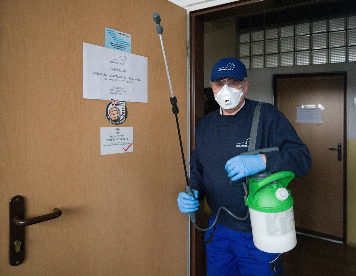 Na Hrvaškem vse več stenic, razlog za njihovo širjenje pa nenavaden