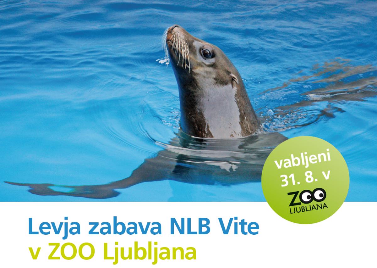 Levja zabava v ZOO Ljubljana