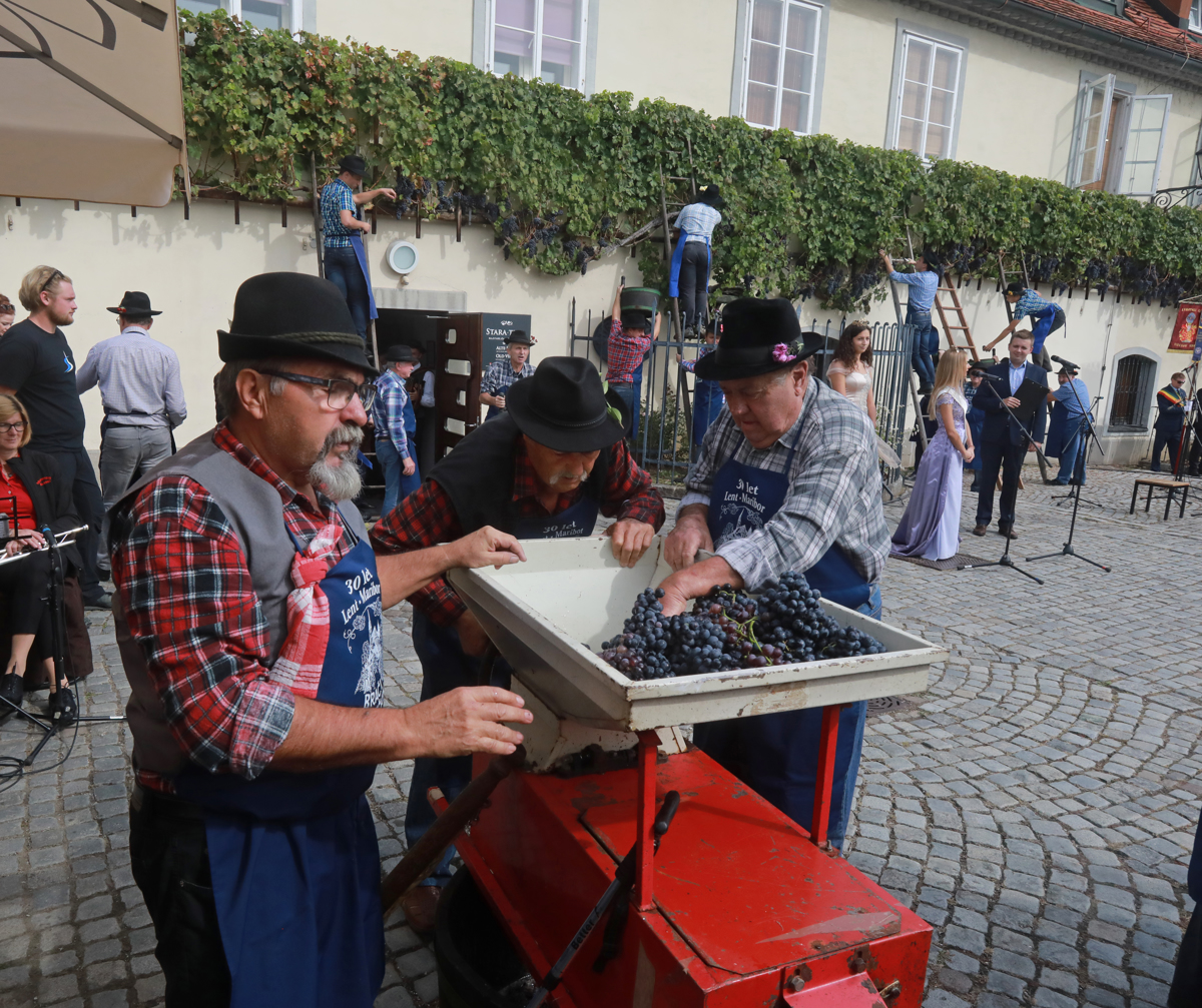 Stara dama obdarila svoj Maribor