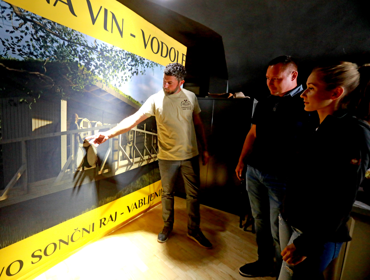 Fontana vina: Ne razvrednotenje vin, ampak promocija