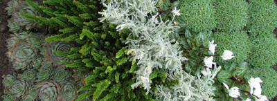 5 korakov za hitro ureditev groba