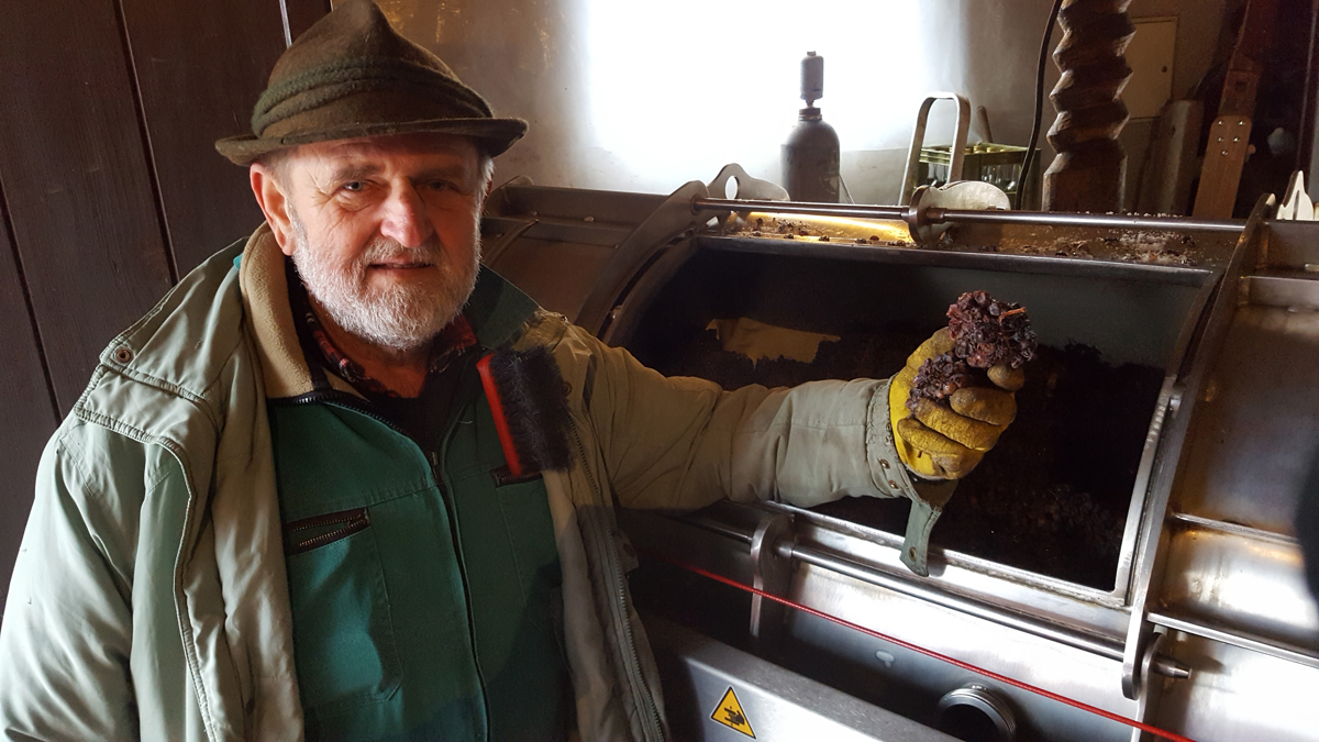 Martinovanje: očetje in hčere in vinogradi