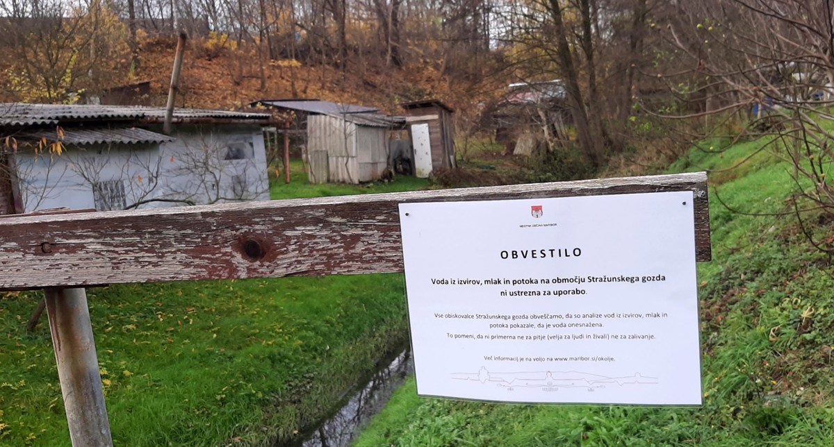 Voda v Stražunskem gozdu je onesnažena
