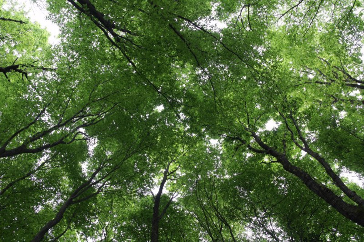 Zakaj hudobe niso mogle priti v nebesa