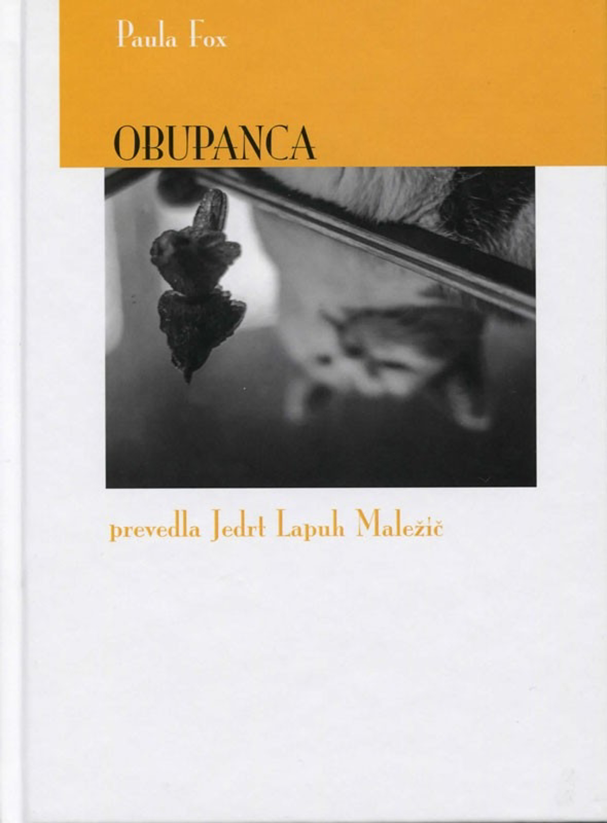 Kratki roman o neznosnosti