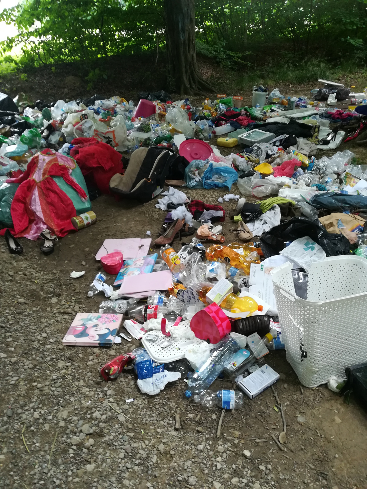 (FOTO) Ostanki živali, plastika, elektronika, oblačila: Smeti sta Mariborčana enostavno odvrgla sredi Ptičjega gozda