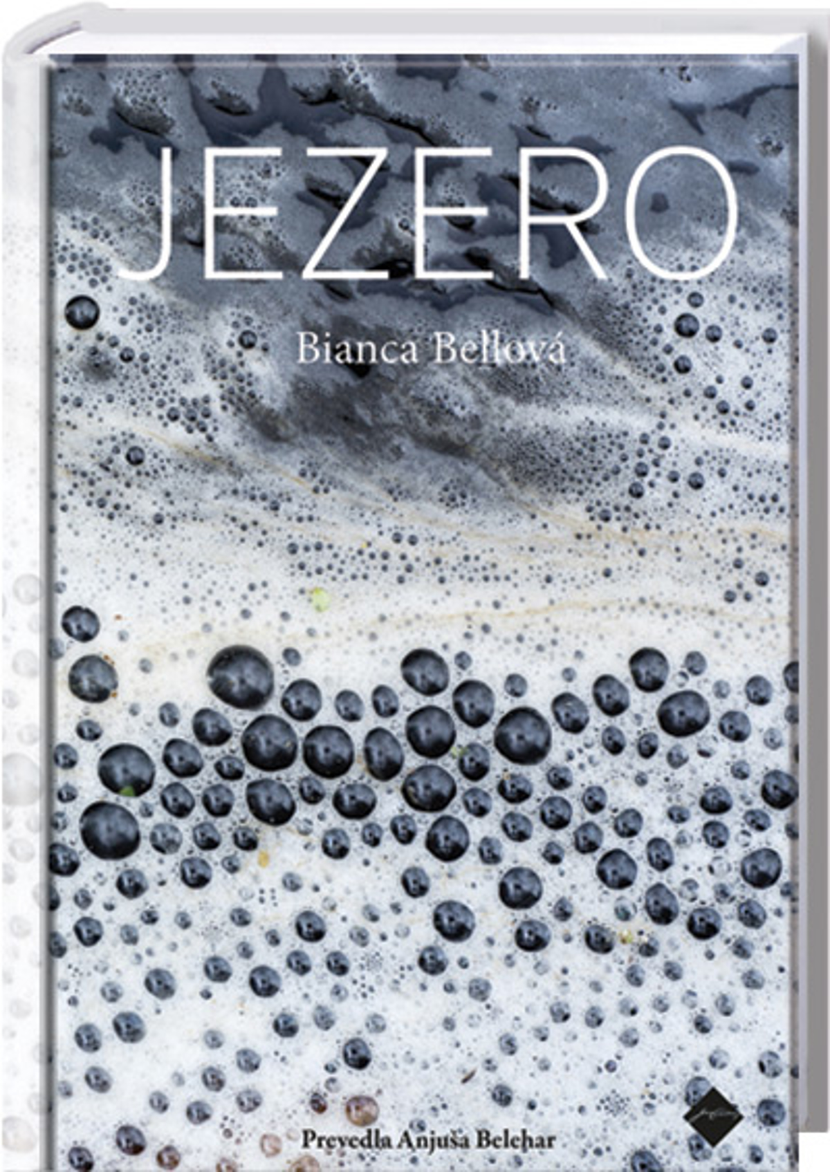 (O KNJIGI) Okupacija, nasilje, strupena umazanija: čeprav ne gre za kriminalko, mrakobnosti in skrivnosti ne manjka