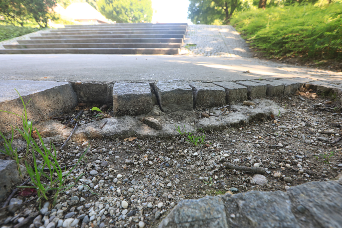 (FOTO) V mariborskem mestnem parku klavrno, pa tudi nevarno. Promenada naposled v prenovo?
