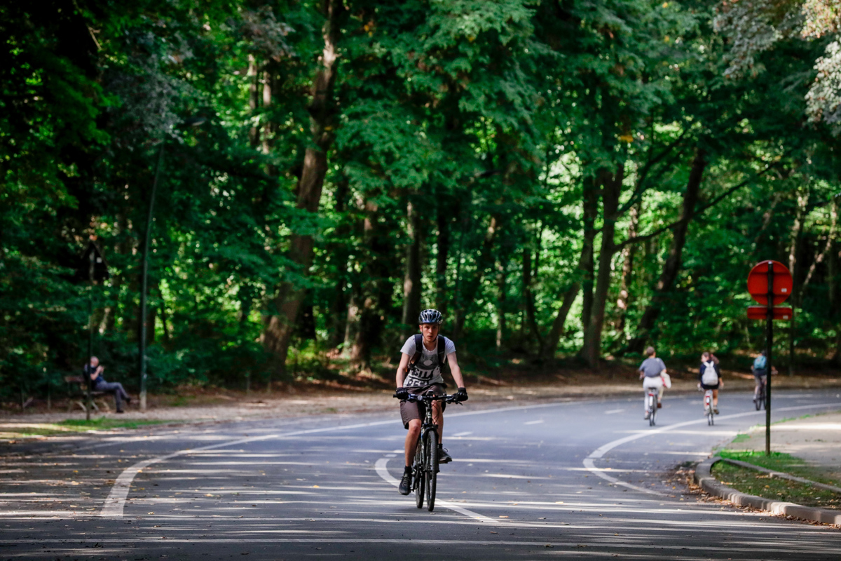 Deset otrok vpletenih v grozljivo zgodbo: 14-letnico zvabil v gozd, tam so jo dva dneva mučili in posiljevali