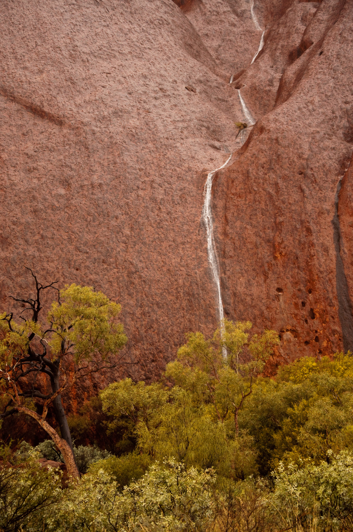 Le odstotek obiskovalcev te svetovne znamenitosti ima priložnost videti slapove, ki tečejo po skali