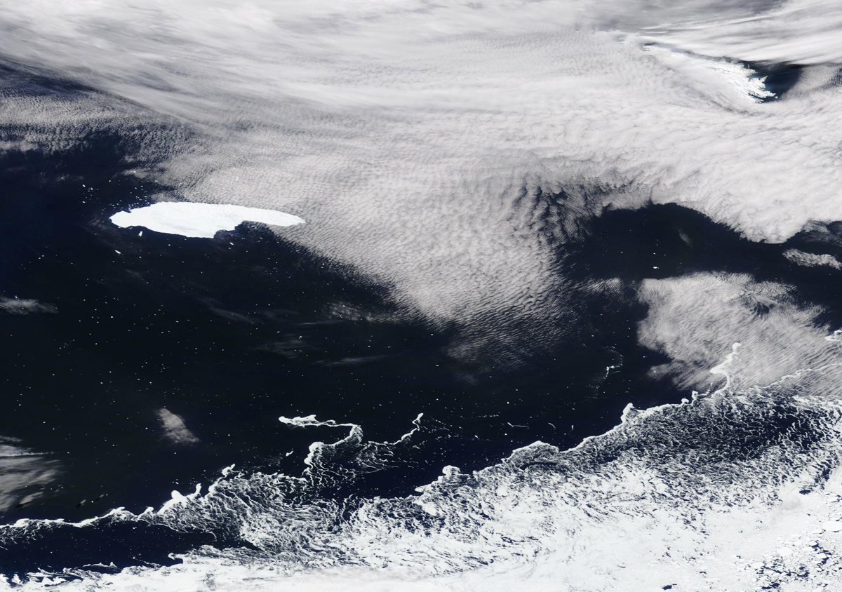 Pingvine in tjulnje na jugu Atlantika ogroža največja ledena plošča