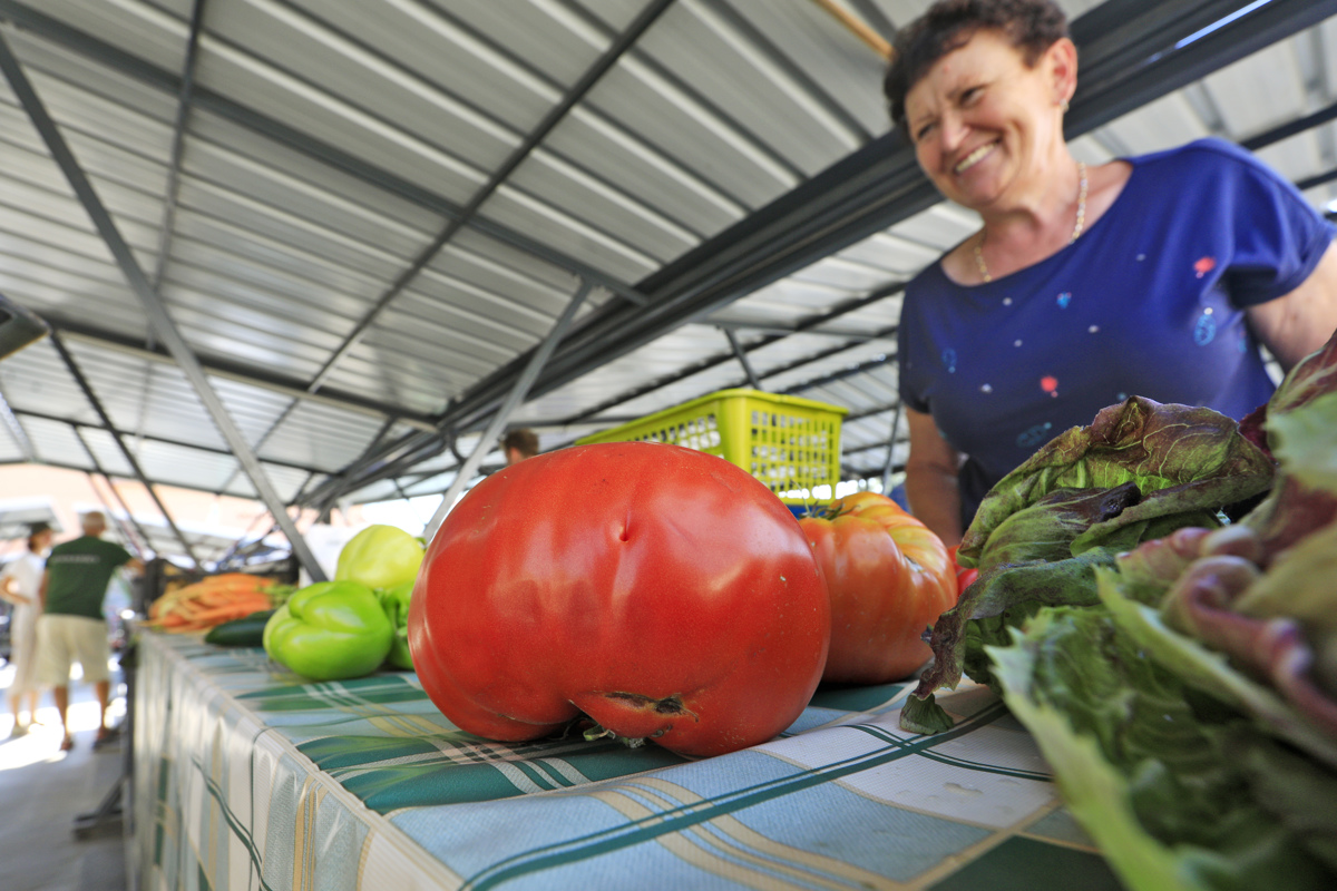Na mariborski tržnici iščejo najtežji in najboljši paradižnik