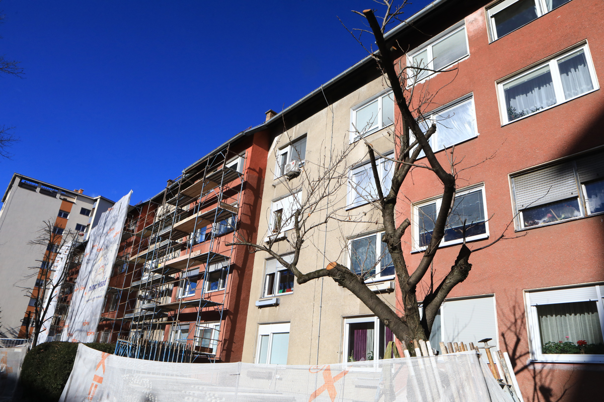 Mestni inšpektor: Zakaj je padlo sedem brez in topol