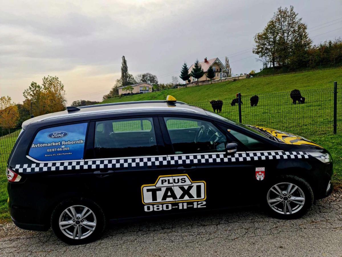 Maribor: Med vožnjo na koncert v Festivalno dvorano Lent žalil taksista in mu prebil ličnico