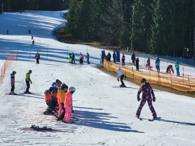 Država predpiše šolo v naravi, starši plačajo: Kam gre 88 evrov, ki jih zagotovi država?