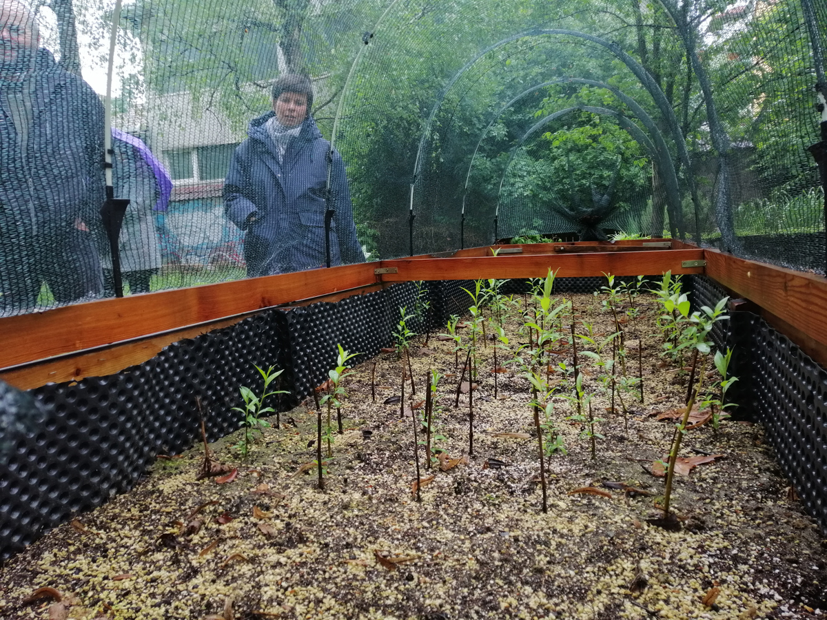 (FOTO) Katere so eksperimentalne podnebne akcije, ki so pritegnile Mariborčane