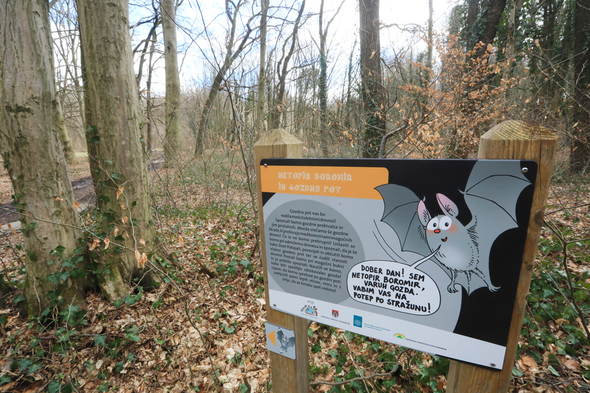 Gozdna učilnica v Stražunu bi izboljšala videz in obisk gozda