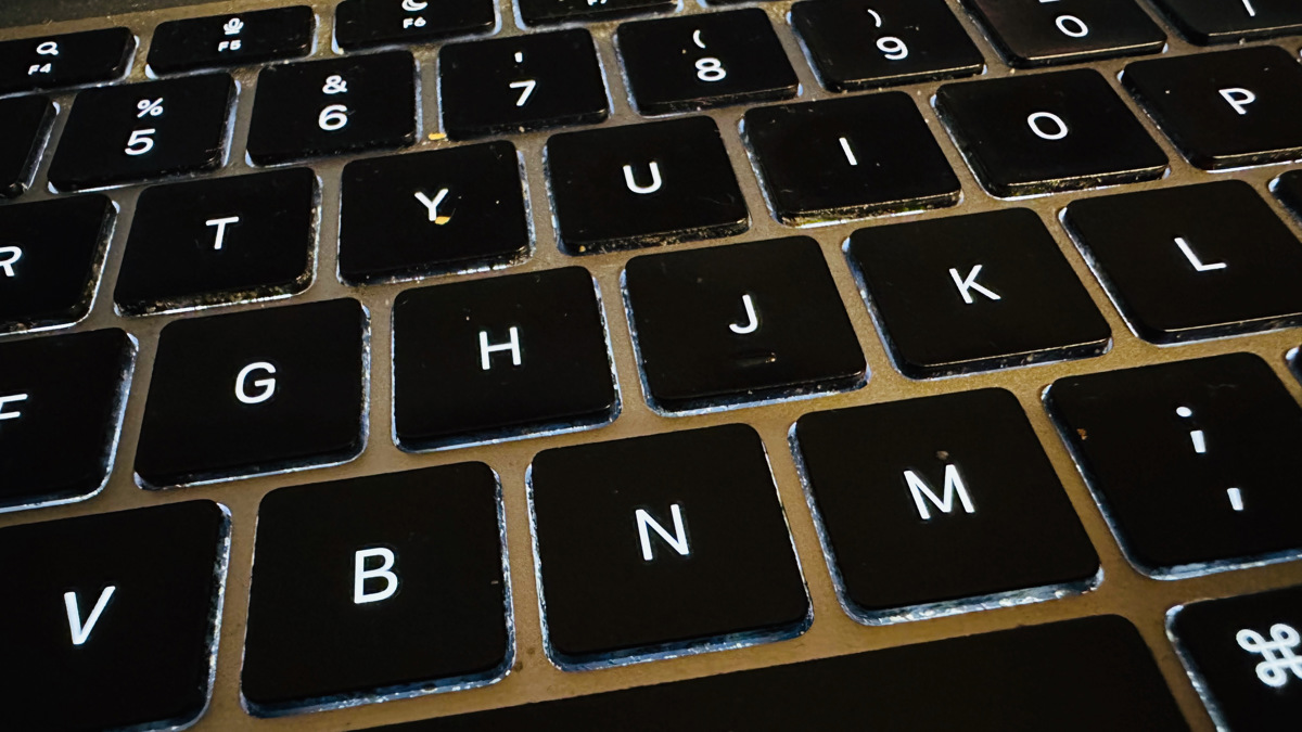 Kljub stalnim opozorilom policije spletni goljufi še naprej uspešni