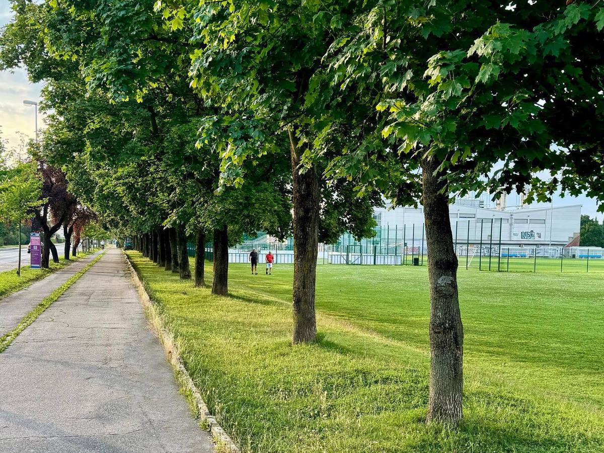 Ob Športnem parku Tabor bodo postavili kovinsko ograjo