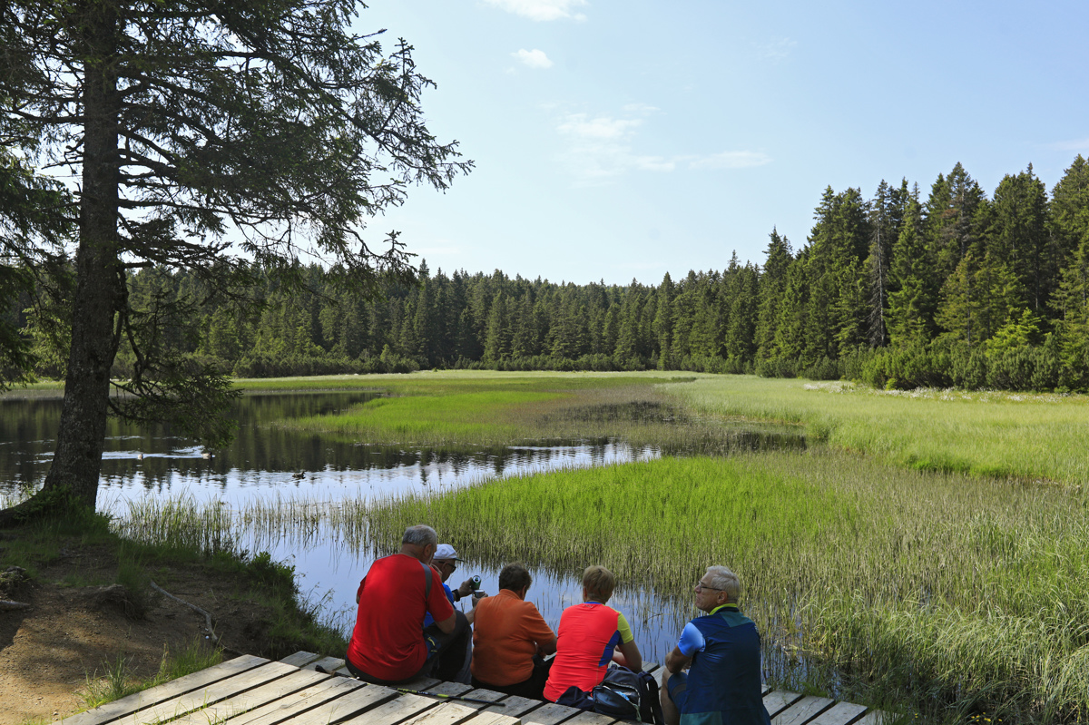 Poletni avtobus iz Slovenske Bistrice na Tri kralje