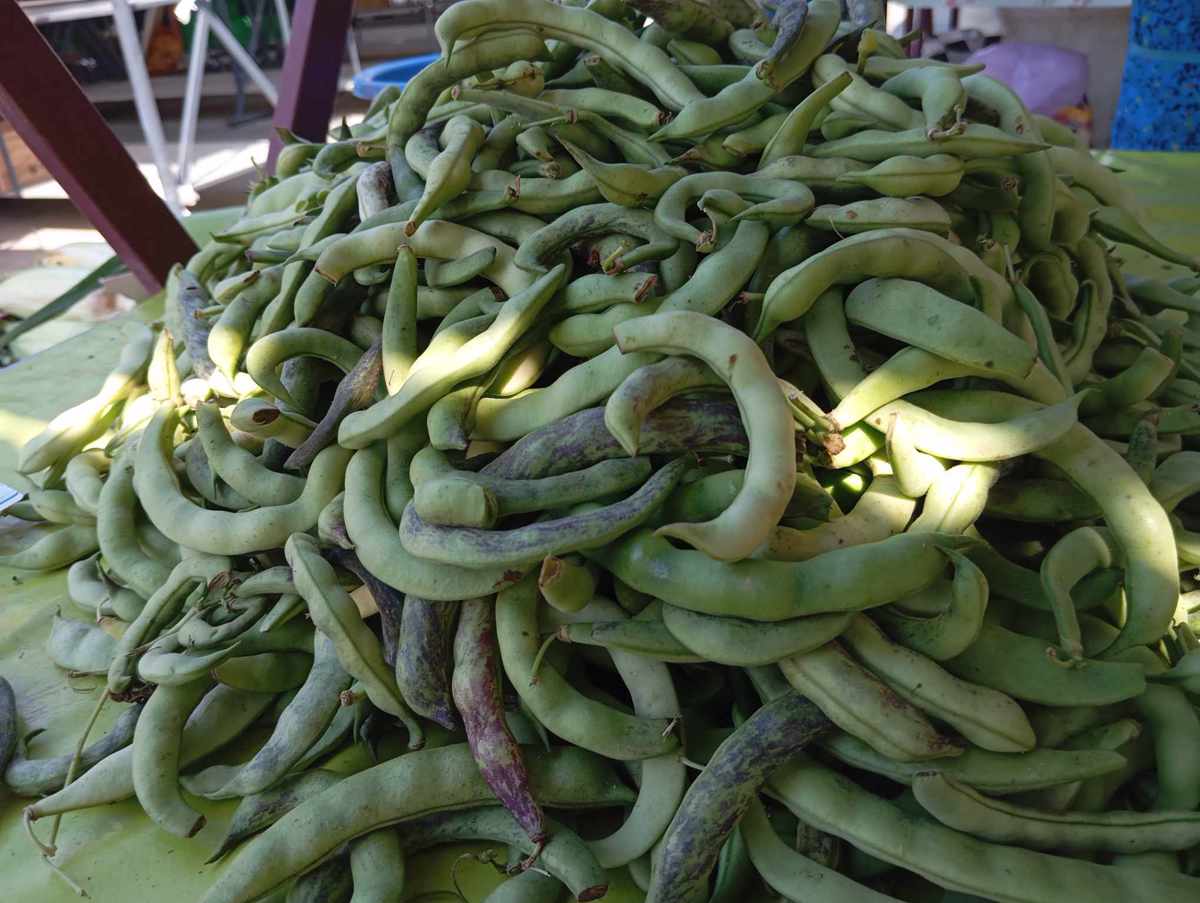 Cene na mariborski tržnici: Koliko stane fižol kiflar