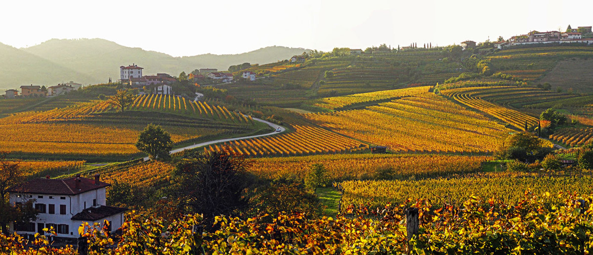 Hrvata sta doživela enega najdražjih ogledov Brd