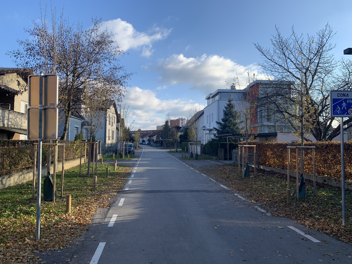 Mestni drevoredi: To ni bila drevesna ulica