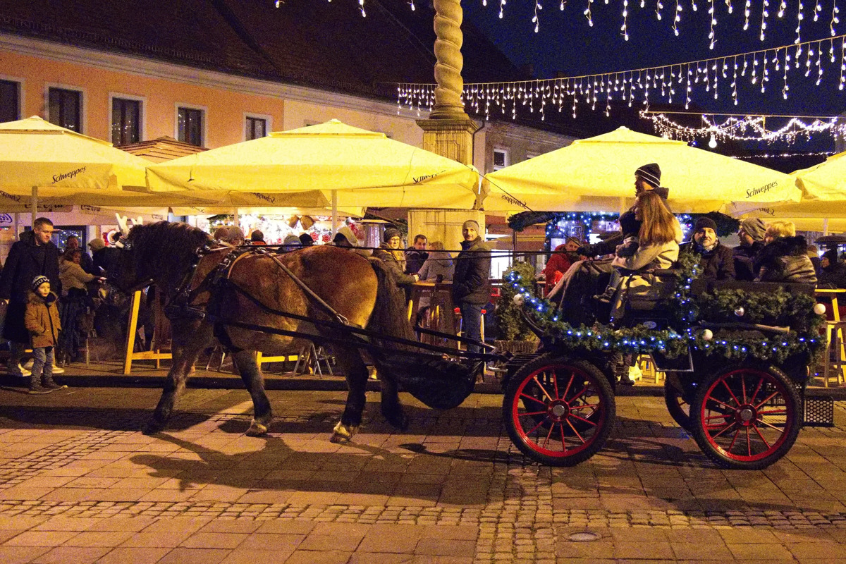 (FOTO) Praznična vožnja s konjem po središču Maribora: Še "trubači" utihnejo, ko se mimo pripelje kočija